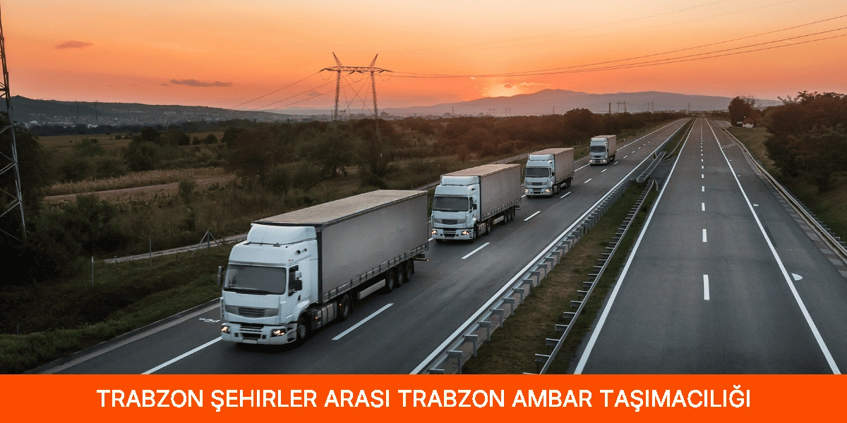 Şehirler Arası Trabzon Ambar Taşımacılığı